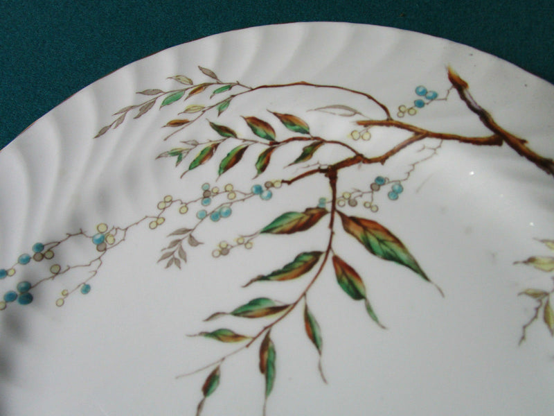 Aynsley England Whitmore Dinner Plates Cup Saucer