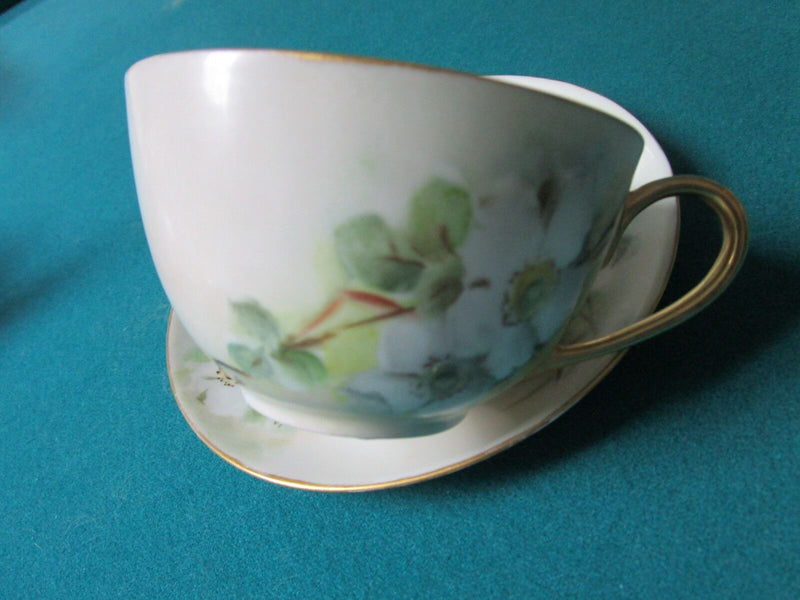 Hutshenreuther Selb Bavaria Germany Cup And Saucer Floral [12F]