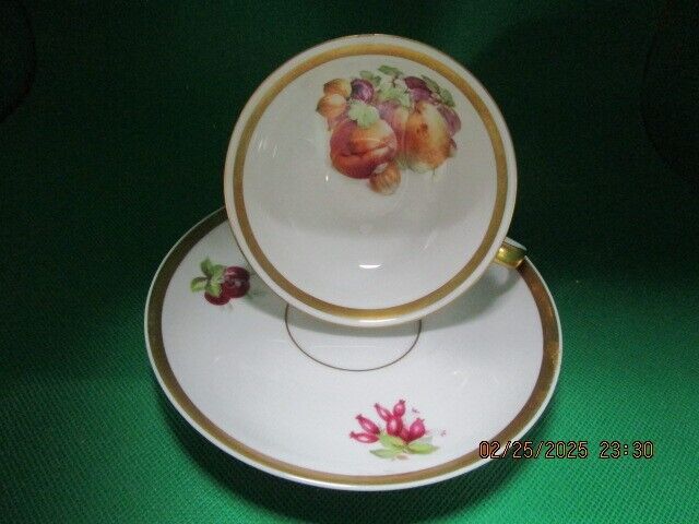 JAEGER & Co.Germany - ca 1902-1970s CUPS AND SAUCER FRUITS AND GOLD  [170A]