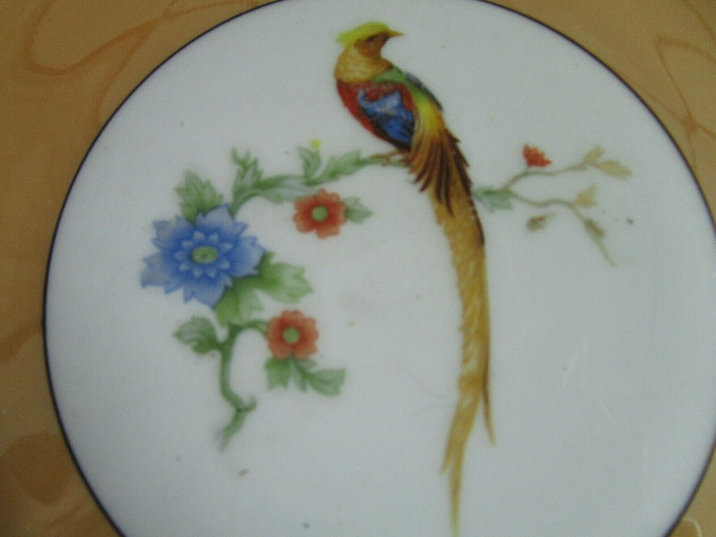 1920s PARADISE BIRDS 6 DINNER SALAD PLATES 8 3/4" CZECHOSLOVAKIA ALTHROLAU