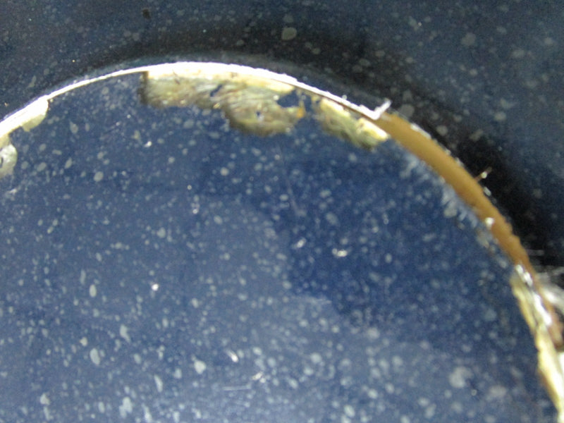 Glass Plate Center Shadow Box Butterfly And Dry Flowers 10" 6 Sides[*A1]