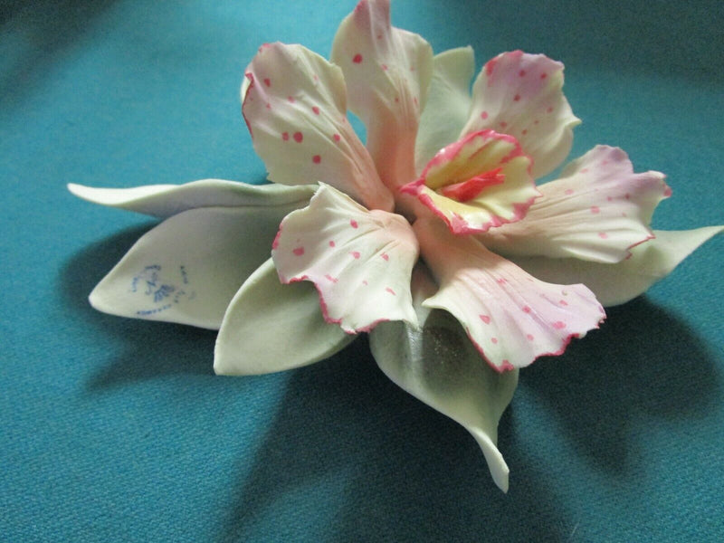 CAPODIMONTE ITALY ORCHID PORCELAIN SCULPTURE PINK, BLUE, DOTTED PICK 1