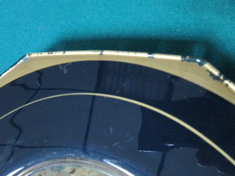 Glass Plate Center Shadow Box Butterfly And Dry Flowers 10" 6 Sides[*A1]