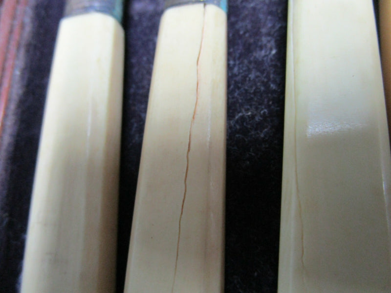 SAVORY 1800s LONDON SILVERPLATE FORKS KNIVES SET WHITE HANDLE ORIGINAL BOX