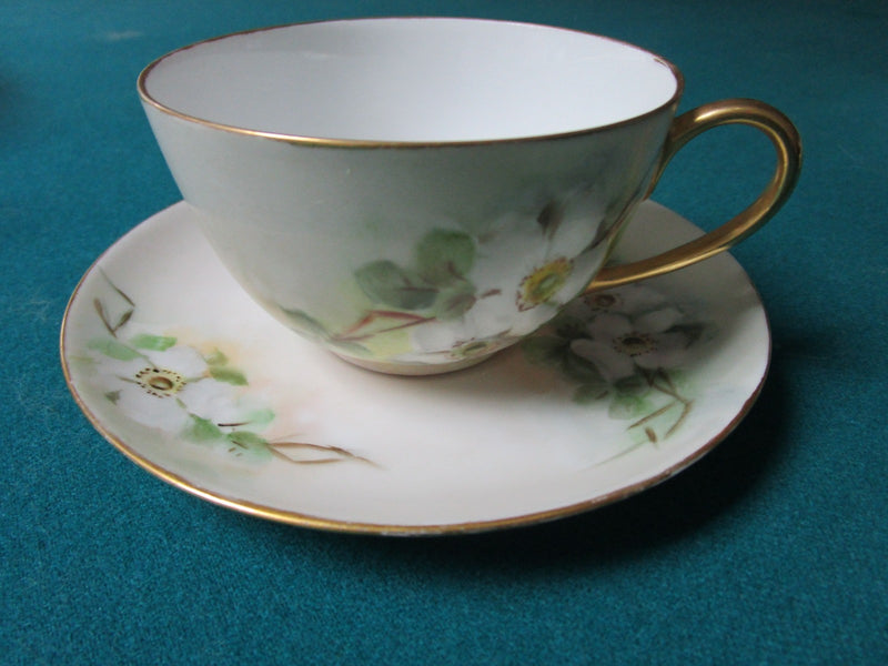 Hutshenreuther Selb Bavaria Germany Cup And Saucer Floral [12F]