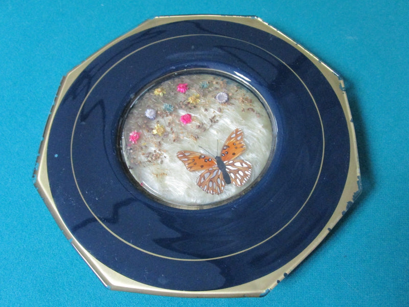 Glass Plate Center Shadow Box Butterfly And Dry Flowers 10" 6 Sides[*A1]