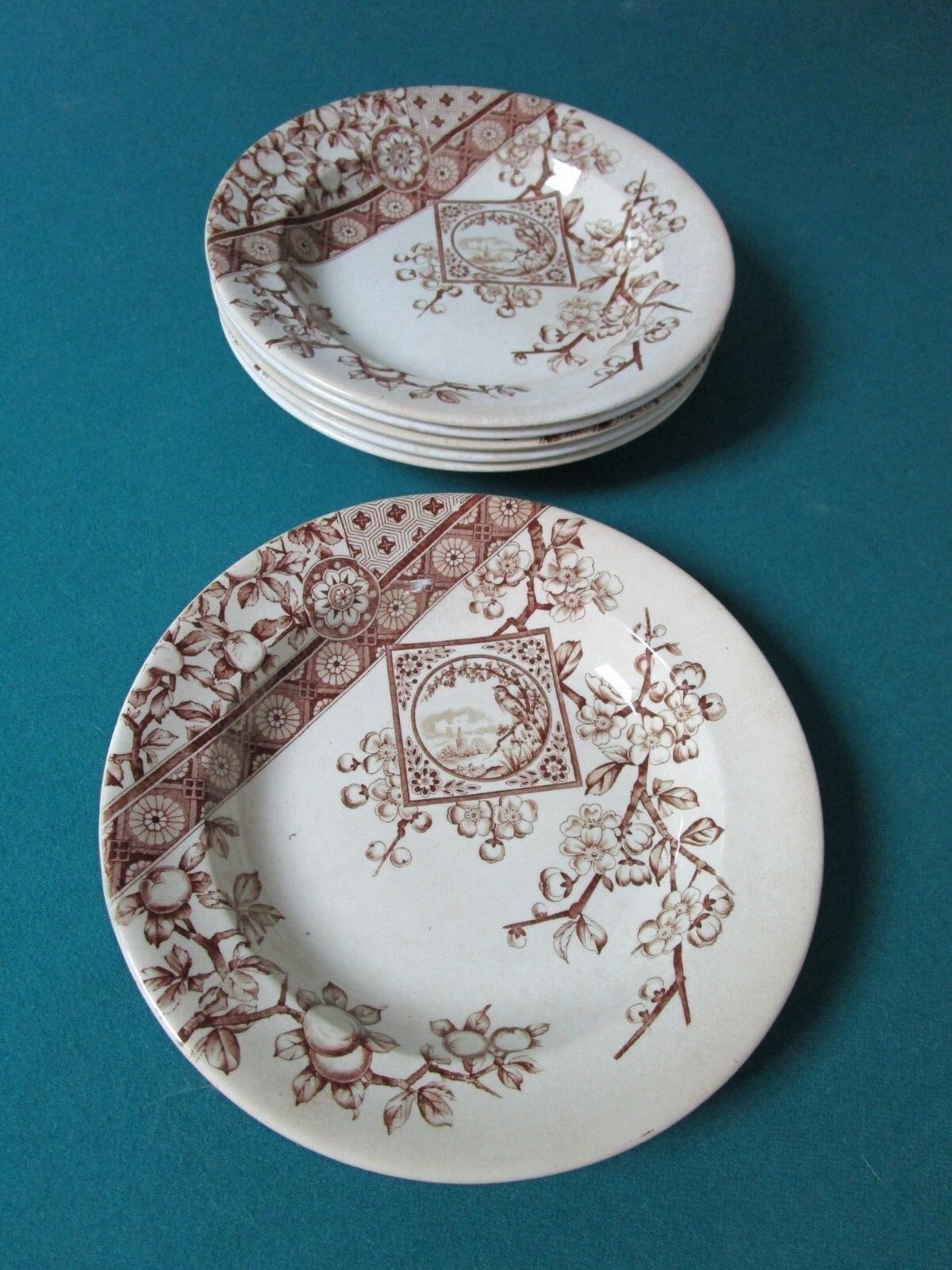 1885-90 Ridgways Pottery _Stoke On Trent /England 6 SOUP PLATES 9 1/2" "DADO"