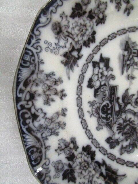 Antique Black Transfer Rhoda Gardens II Plate 9 1/4" 1850S ironstone [bp49]