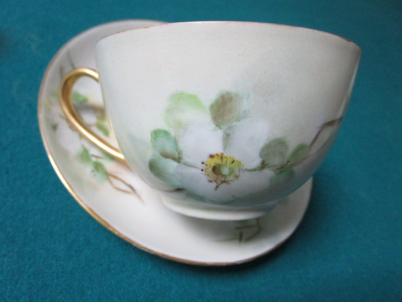 Hutshenreuther Selb Bavaria Germany Cup And Saucer Floral [12F]