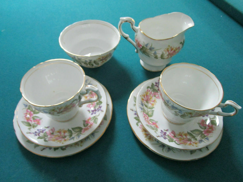 Paragon England Tea Pot Cups Saucer Creamer Cake Plate Country Lane [140g]