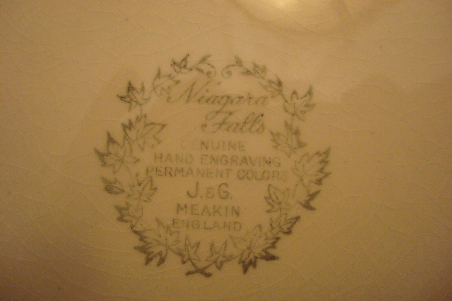 Vintage collector plate - Niagara Falls- by J & G Meakin, England, blue 1962.