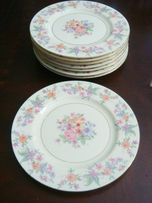 Theodore Haviland New York "Springtime" pattern, 8 salad plates [*rack]