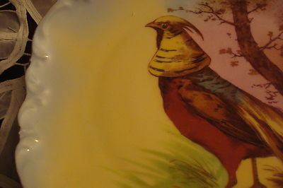 Old German plate decorated with birdsm, molded and ruffled borders, gold guild