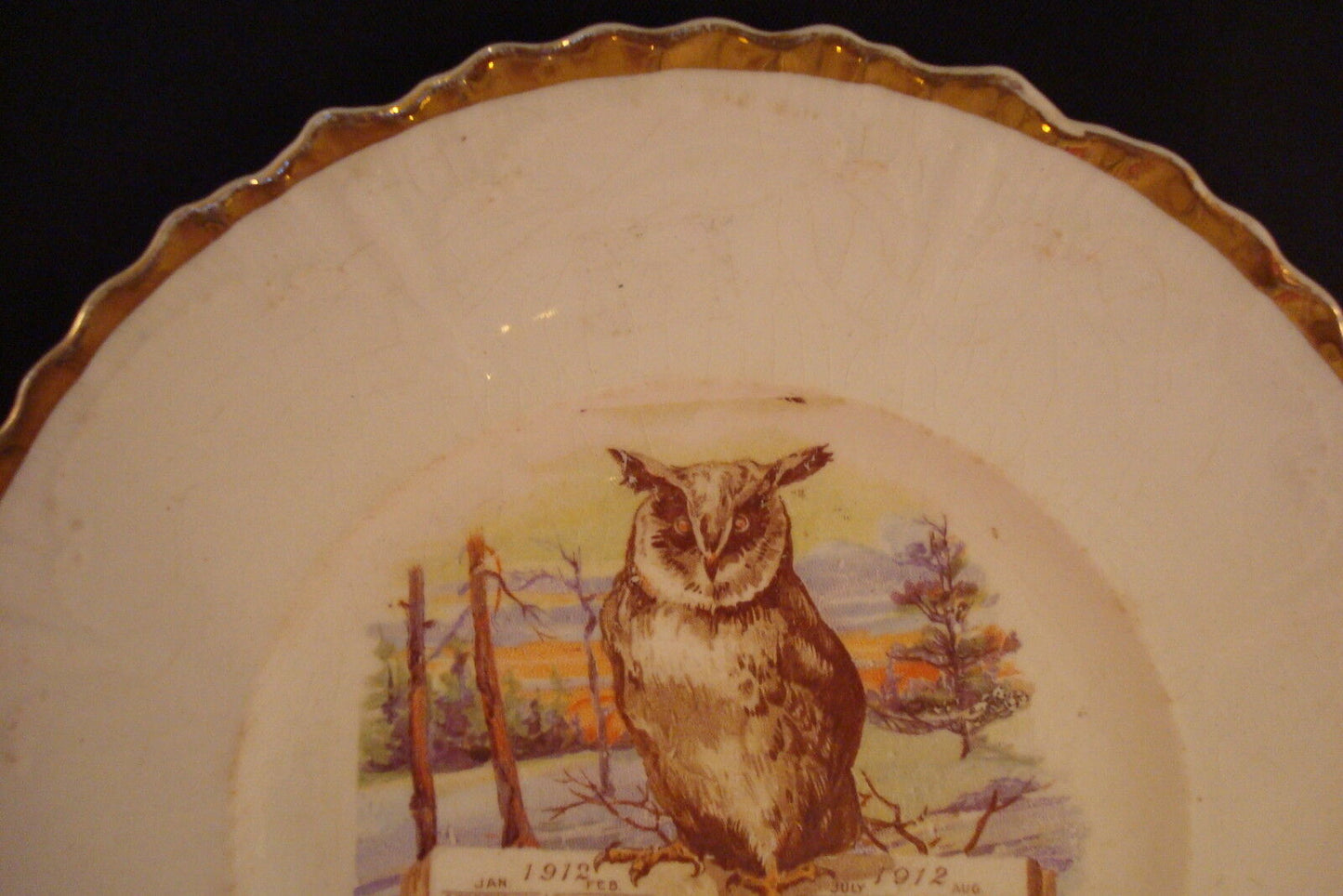 Unmarked Calendar plate 1912, molded, gold rim, Owl.