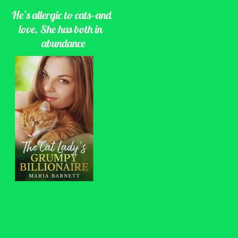 The Cat Lady's Grumpy Billionaire